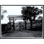 [BIESIADECKI Franciszek] Zestaw druków ulotnych, rękopisów, archiwaliów związanych z Franciszkiem Biesiadeckim (1869-1941), właścicielem ziemskim, kolekcjonerem
