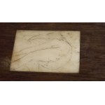 Akt Leżąca tusz kość drewno miniatura szkatułka ok. 1900 r.