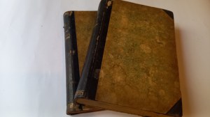 Historya literatury powszechnej w zarysie tom I + II Walery Gostomski 1898.