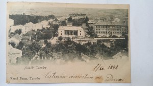 Tarnow Falcon Baum ca. 1895.