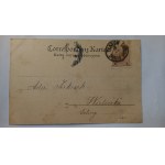 Tarnów Sokół Baum ok. 1895 r.