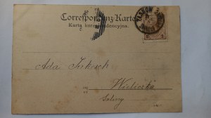 Tarnow Falcon Baum ca. 1895.