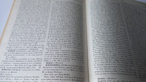 Słownik historyczno-geograficzny województwa krakowskiego w średniowieczu Borek - Ciecień / m.