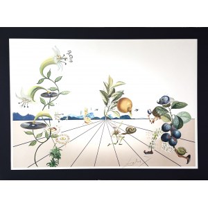 Salvador DALI (1904-1989) Flordali I, Lily musicale et compagnie, 1981