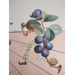 Salvador DALI (1904-1989) Flordali I, Lily musicale et compagnie, 1981