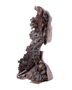 Krzysztof Śliwka, Zrujnowany, 2011