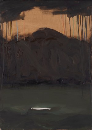 Piotr Kotlicki, Dziura, 2010
