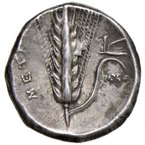 LUCANIA Metaponto - Nomos (320-280 a.C.) Testa di Kore-…