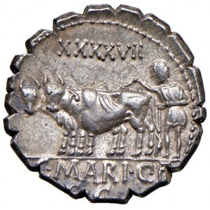 Maria - C. Marius C. f. Capito - Denario (81 a.C.) Test…