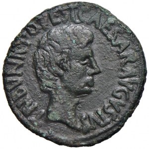Augusto (27 a.C.-14 d.C.) Asse - Testa a d. - R/ SC ne…