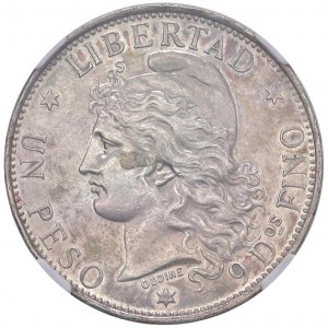 ARGENTINA Peso 1882 - KM 29 AG In slab NGC UNC DETAILS ...