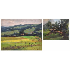 Stanislaw DACZYÑSKI (1856-1941), A pair of landscapes