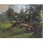 Stanislaw DACZYÑSKI (1856-1941), A pair of landscapes
