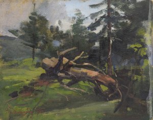 Stanisław DACZYŃSKI (1856-1941), Para pejzaży