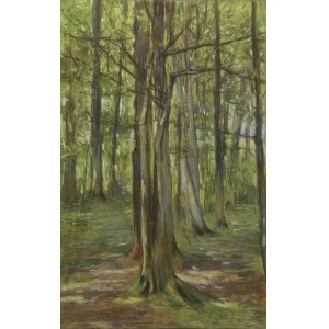 Stanislaw BERGMAN (1882-1930), Forest