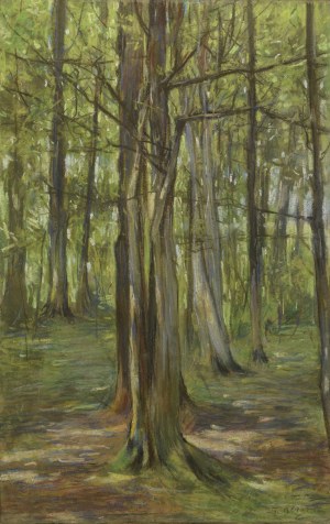 Stanisław BERGMAN (1882-1930), Las