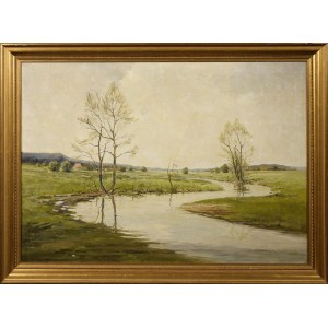 Leopold WITTKOWSKI, 1 poł. XX w., Rozlewisko
