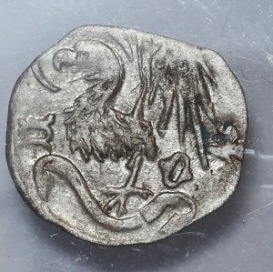 Silesia, Duchy of Olesnica, Conrad VIII, halberd (1417-1447), Olesnica