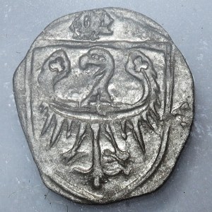 Silesia, Duchy of Olesnica, Conrad VIII, halberd (1417-1447), Olesnica