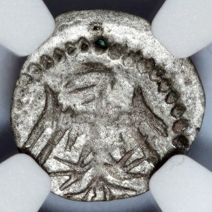 Ladislaus II Jagiello, denarius (1386-1434), shield and eagle