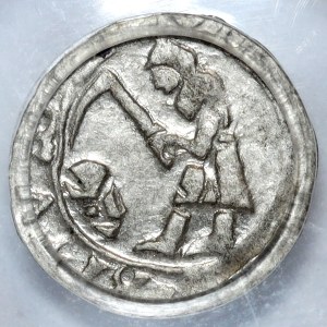 Śląsk, Ks. Bytomsko-Cieszyńskie, halerz (1431-1452), Eufemia lub synowie, Bytom