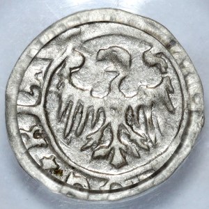 Silesia, Ks. Bytomsko-Cieszynski, halerz (1431-1452), Euphemia or sons, Bytom