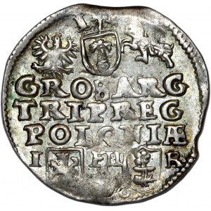 Zygmunt III Waza, trojak 1596, Poznań