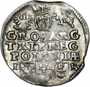 Sigismund III Vasa, trojak 1596, Poznań