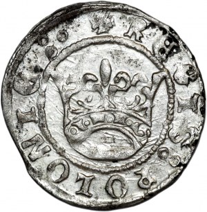 Sigismund I the Old, half-penny without date, Cracow