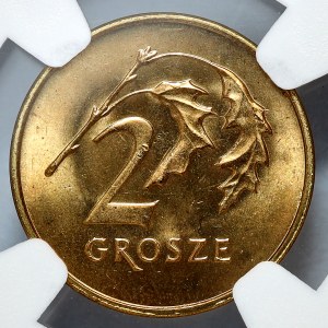 2 pennies 2007