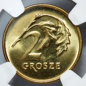 2 pennies 2013