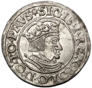 Sigismund I the Old, penny 1535, Gdansk PRVS*