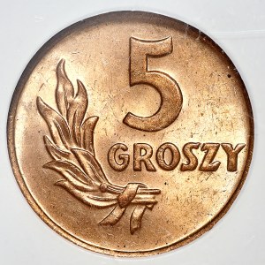 5 groszy 1949, PRÓBA BEZ NAPISU MOSIĄDZ