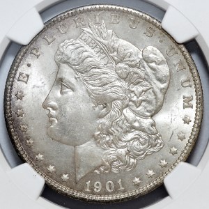 USA, 1 dolar 1901, Morgan, Nowy Orlean