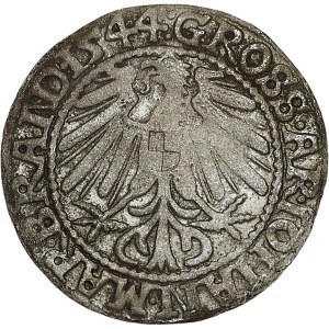 Silesia, Jan Kostrzynski, penny 1544, Krosno
