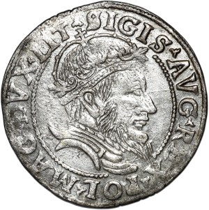 Sigismund II Augustus, penny per Lithuanian foot 1556, Vilnius