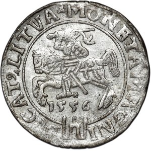 Zygmunt II August, grosz na stopę litewską 1556, Wilno