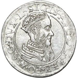 Zygmunt II August, czworak 1566, Wilno