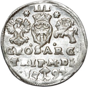 Sigismund III Vasa, trojak 1594, Vilnius