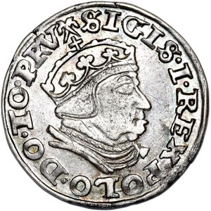 Zygmunt I Stary, trojak 1540 PRV, Gdańsk
