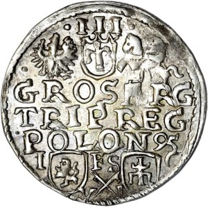 Zygmunt III Waza, trojak 1595, Bydgoszcz, haki