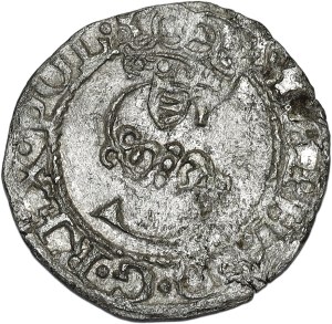 Stefan Batory, a 1580 shellac, Olkusz - Jastrzębiec