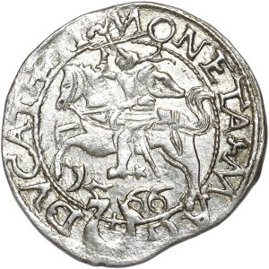 Sigismund II Augustus, half-penny 1566, Tykocin, L/LIT, Jastrzębiec