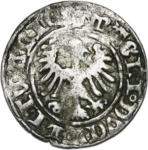 Alexander Jagiellonian, half-penny, Vilnius