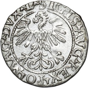 Sigismund II Augustus, half-penny 1560, Vilnius