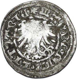 Alexander Jagiellonian, half-penny, Vilnius