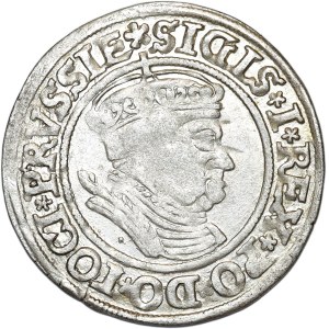 Zygmunt I Stary, grosz 1535 , Toruń, PRVSSIE/PRVSSIE