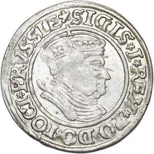 Sigismund I the Old, penny 1535 , Torun, PRVSSIE/PRVSSIE