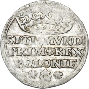 Sigismund I the Old, penny 1528, Cracow