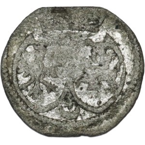 Stefan Batory, denar litewski 1582, Wilno